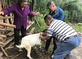 天津市动物防疫条例最新修订