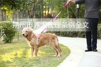 朔州市养犬管理条例全文