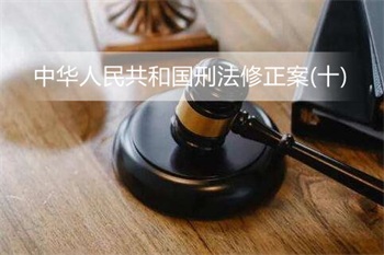 中华人民共和国刑法修正案(十)