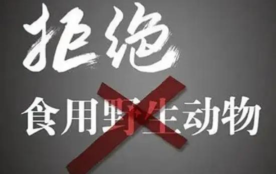 中华人民共和国陆生野生动物保护实施条例2022修订