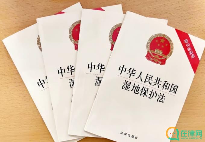 2023最新中华人民共和国湿地保护法【全文】