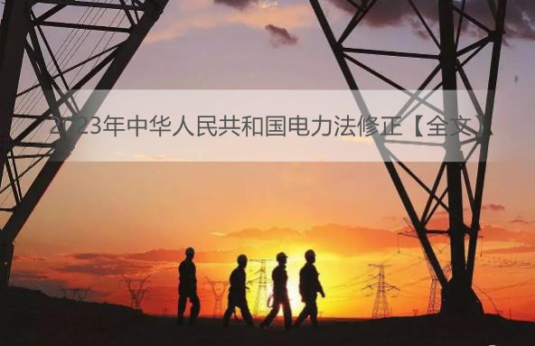 2023年中华人民共和国电力法修正【全文】