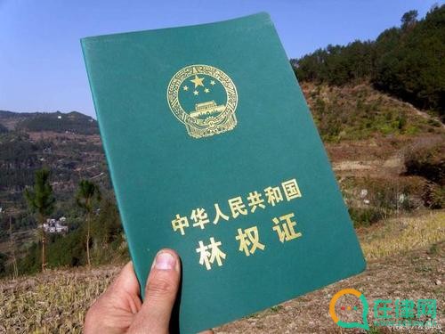 2023年广东省林木林地权属争议调解处理条例最新【全文】