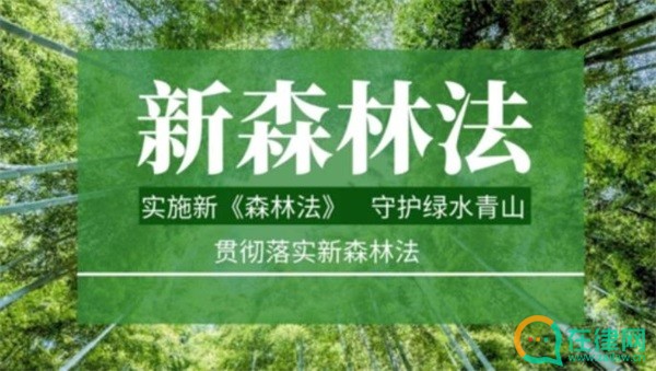 中华人民共和国森林法2023年最新版【全文】