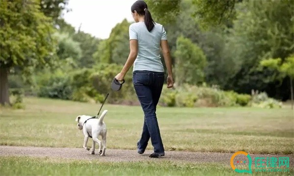 梧州市养犬管理条例