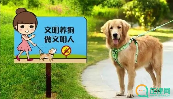 西安市限制养犬条例