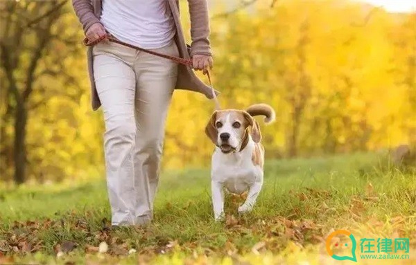 无锡市养犬管理条例