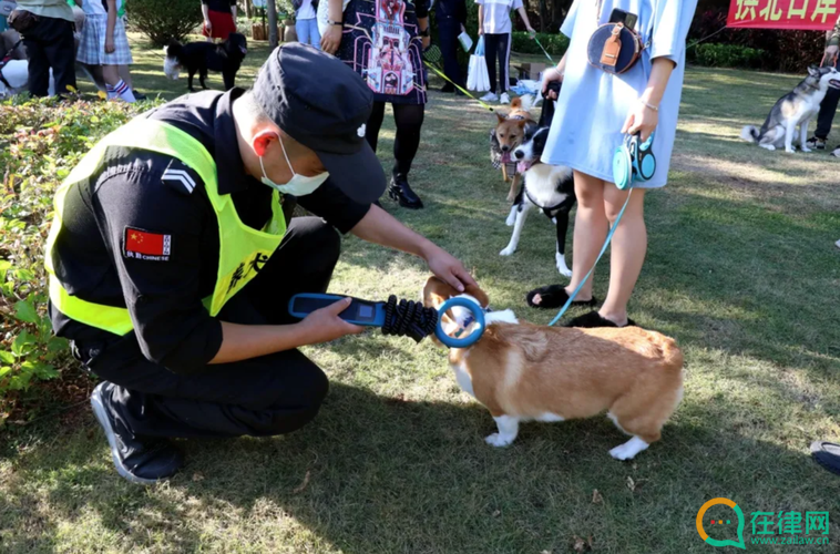 成都市养犬管理条例