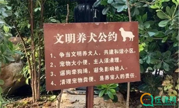 马鞍山市养犬管理条例