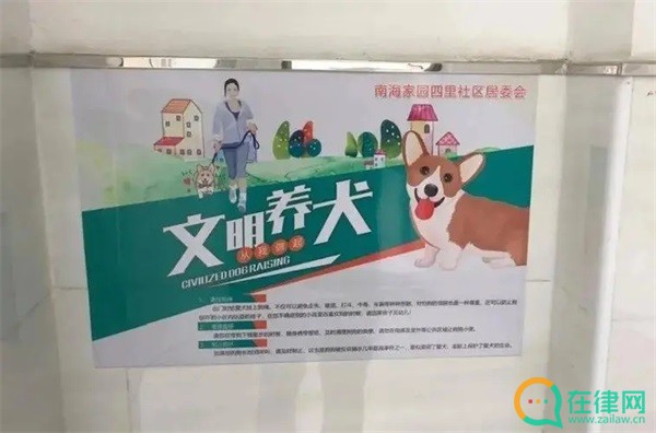 汉中市养犬管理条例