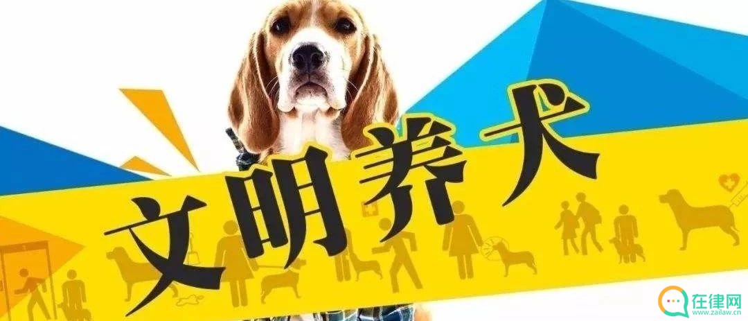  南昌市养犬管理条例