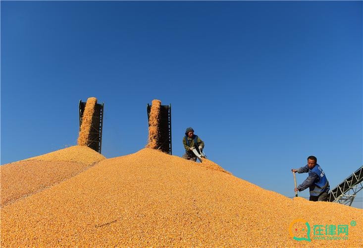 海南省地方粮食储备管理办法