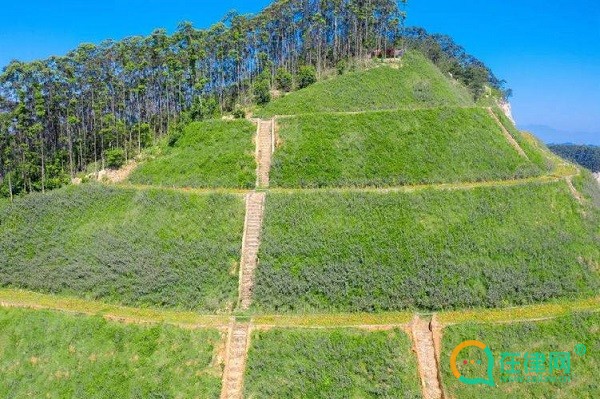 江西省矿山生态修复与利用条例