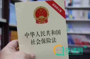 2024社会保险法第十三条的内容、主旨及释义