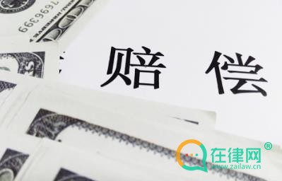 2024人身损害赔偿第三十二条的内容、主旨及释义