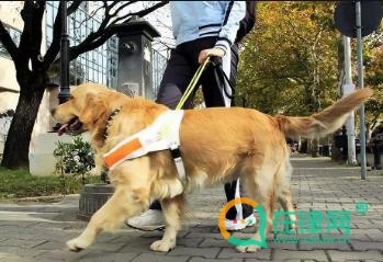 2024天津市养犬管理条例最新修订全文