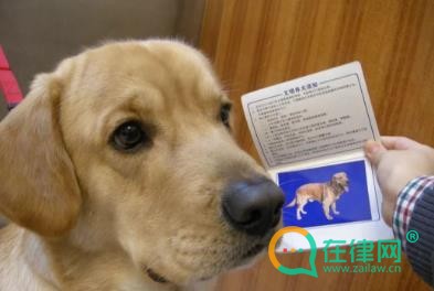 2024长治市养犬管理条例最新全文